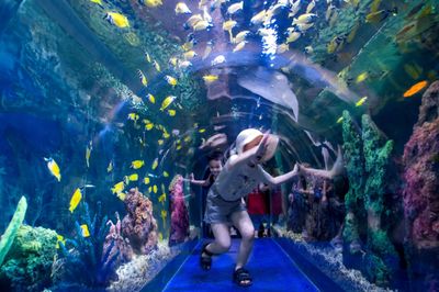 桂林水族馆：桂林旅游攻略桂林水族馆 全国观赏鱼市场 第3张