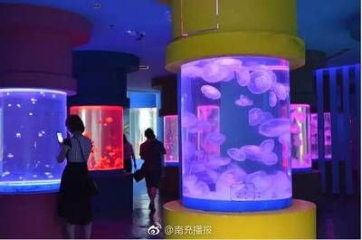 南充水族馆 全国观赏鱼市场 第1张