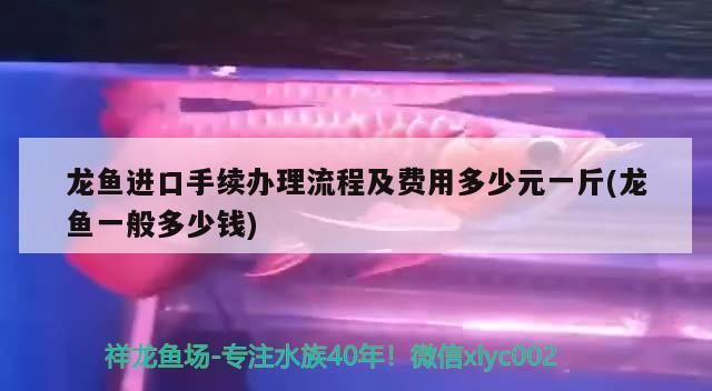 龙鱼进口手续流程图片：龙鱼进口手续 龙鱼百科 第4张