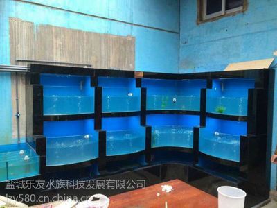 盐城鱼缸批发市场：盐城水族批发市场鱼缸多少钱 全国观赏鱼市场 第2张