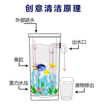 襄樊观赏鱼批发市场：襄阳观赏鱼市场 全国观赏鱼市场 第8张