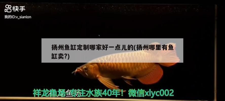 江彩鱼缸生产厂家地址：江彩鱼缸生产厂家地址详情 鱼缸百科 第5张