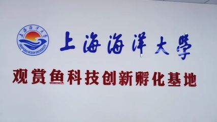 国内红龙鱼繁殖基地在哪里：国内红龙鱼繁殖基地位置 龙鱼百科 第1张