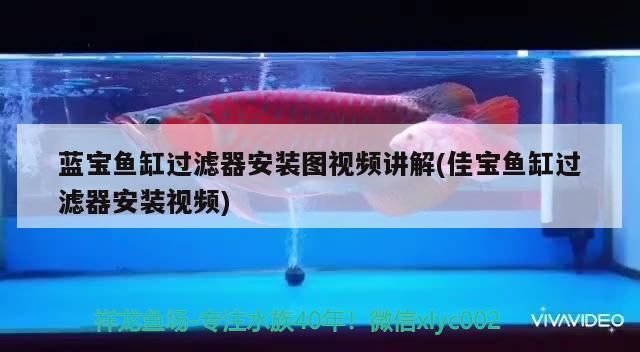 佳宝鱼缸过滤器安装视频：佳宝鱼缸过滤器安装方法佳宝鱼缸过滤器安装方法 鱼缸百科 第2张