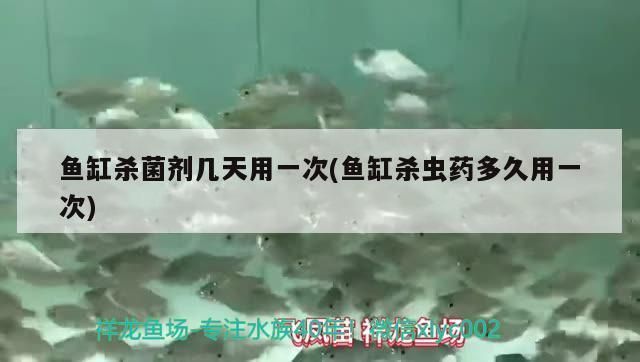 恩施土家族苗族自治州观赏鱼批发市场：恩施土家族苗族自治州观赏鱼批发市场在什么地方 全国观赏鱼市场 第12张