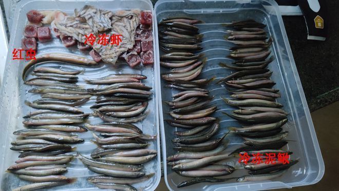 金龙鱼 厂家：关于金龙鱼品牌的疑问 水族问答 第2张