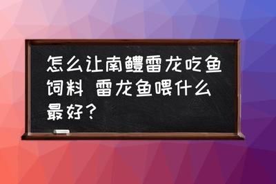 雷龙鱼喂饲料长得快吗视频：观赏鱼饲料成分解析雷龙鱼饲料成分解析雷龙鱼饲料成分解析 龙鱼百科 第3张