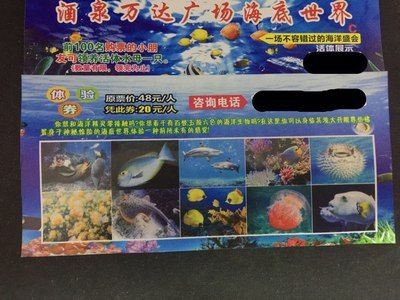 酒泉水族馆：酒泉水族馆vs祥龙鱼场(祥龙鱼场与酒泉鱼族馆