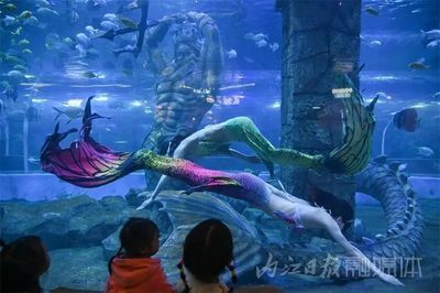 内江水族馆：内江源里水族馆