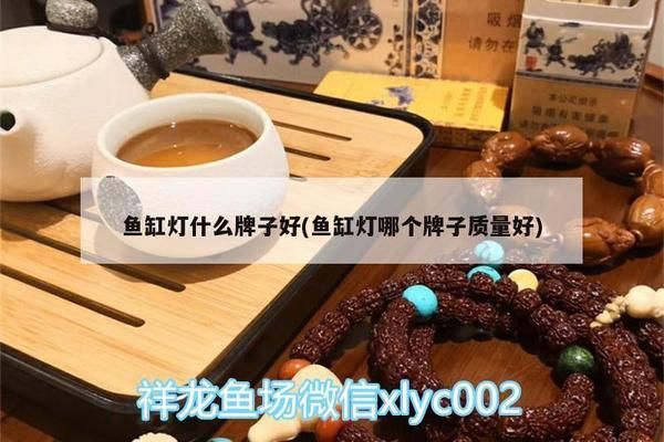 鱼缸灯容易坏：如何选择鱼缸灯 鱼缸百科 第3张