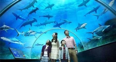 张家口水族馆：张家口水族馆vs祥龙鱼场(张家口水族馆 全国观赏鱼市场 第2张