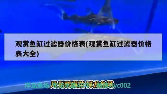 张家口水族馆：张家口水族馆vs祥龙鱼场(张家口水族馆 全国观赏鱼市场 第5张