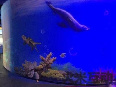 潍坊水族批发市场 全国观赏鱼市场 第1张