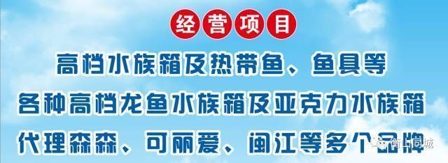 金龙鱼1:1:1配料表比例是多少：关于金龙鱼1:1:1配料表比例的疑问 水族问答 第4张