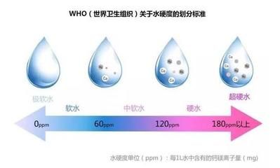 金龙鱼1:1:1营销分析：金龙鱼1:1:1营销策略 水族问答 第2张