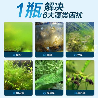 水族箱除苔素使用指南：水族箱中的青苔问题是一个常见问题是一个常见问题 龙鱼百科 第2张