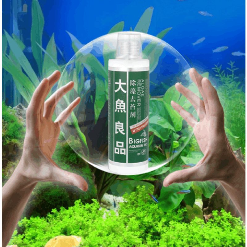 水族箱除苔素使用指南：水族箱中的青苔问题是一个常见问题是一个常见问题 龙鱼百科 第5张