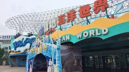 沧州水族馆：沧县沧州水族馆 全国观赏鱼市场 第2张