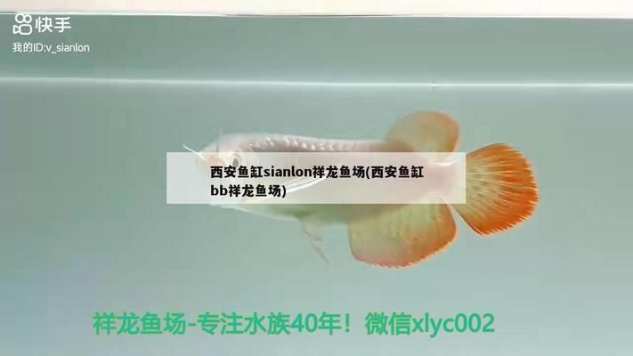 品牌鱼缸find祥龙鱼场怎么样啊：祥龙鱼场个性化定制流程汇总祥龙鱼场个性化定制流程 鱼缸百科 第4张