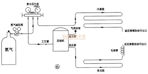 金龙鱼19266：金龙鱼19266怎么样？ 水族问答 第1张