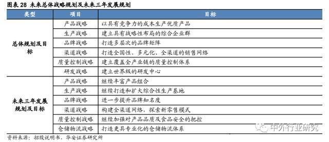 金龙鱼未来发展战略规划：金龙鱼未来发展战略规划涵盖市场策略、产品创新、国际化战略策略 金龙鱼百科 第3张