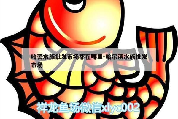 哈尔滨水族批发市场：哈尔滨水族批发市场介绍 全国观赏鱼市场 第4张