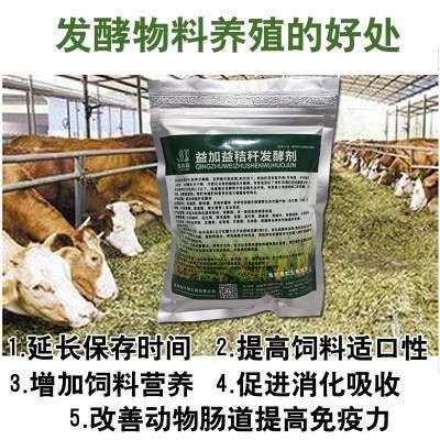 银龙鱼苗繁殖季节特点：银龙鱼的繁殖季节特点 龙鱼百科 第1张