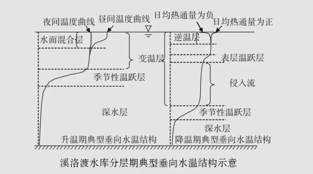 金龙鱼20厘米用多大鱼缸养：20厘米长的金龙鱼适合在多大的鱼缸中饲养？ 水族问答 第1张