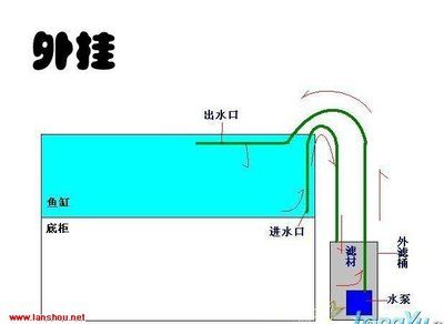 鱼缸滤桶进出水怎么安装：如何选择鱼缸过滤器，鱼缸过滤水槽选购技巧