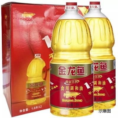 衡水龙鱼专卖店：衡水市内有哪些卖鱼缸的店铺？ 全国观赏鱼市场 第3张