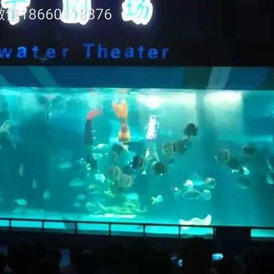 济南水族馆：济南槐荫潇阳水族馆(济南槐荫潇阳水族馆 全国观赏鱼市场 第2张