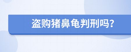 买卖猪鼻龟会判刑吗？：买卖猪鼻龟犯法吗 猪鼻龟百科 第4张