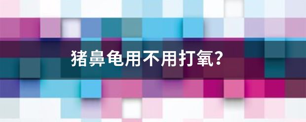 猪鼻龟用不用打氧：如何判断猪鼻龟需要要氧泵吗 猪鼻龟百科 第6张