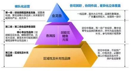 金龙鱼全产业链协同效果：康的重视日益增加金龙鱼将继续深化全产业链整合 金龙鱼百科 第1张