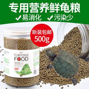 猪鼻龟最好的饲料：猪鼻龟的饲料选择 猪鼻龟百科 第2张