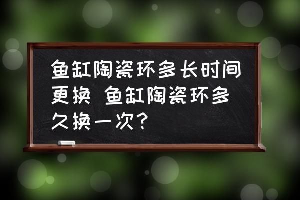 鱼缸装饰物维护周期：鱼缸装饰物的维护周期 鱼缸百科 第1张