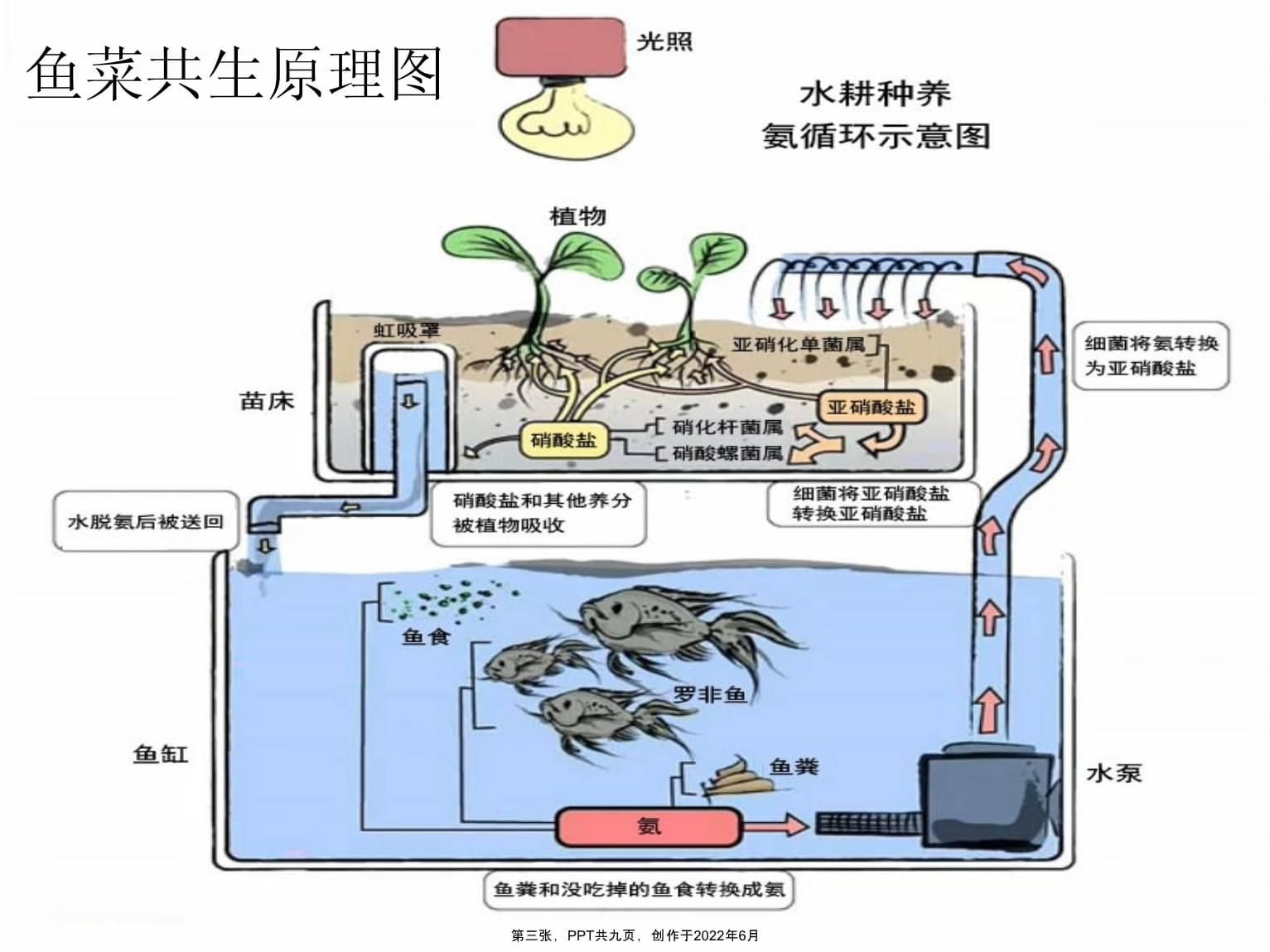 鱼缸虹吸原理图视频教程：鱼缸虹吸原理图教程详情 鱼缸百科 第4张