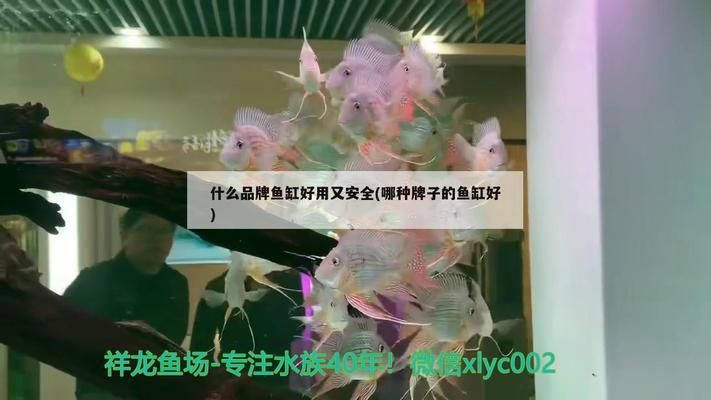 品牌鱼缸哪个品牌好用：市场上表现优秀的品牌鱼缸推荐