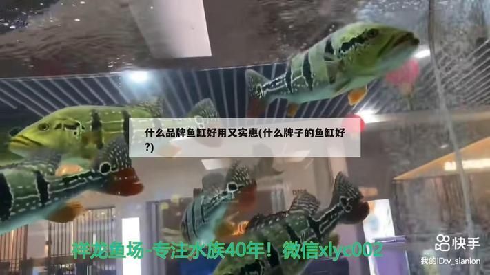 品牌鱼缸哪个品牌好用：市场上表现优秀的品牌鱼缸推荐