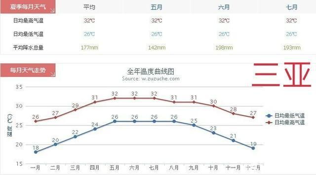 猪鼻龟适合多深的水：猪鼻龟多深的水养最好呢 猪鼻龟百科 第5张