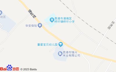 贵港龙鱼专卖店：关于达州龙鱼专卖店 全国观赏鱼市场 第1张