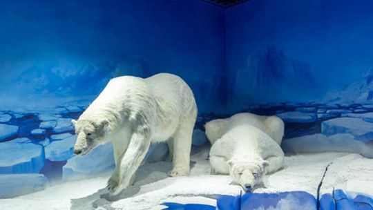 宜宾水族馆：宜宾水族馆宜宾水族馆