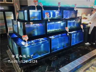 长沙水族批发市场：长沙水族批发市场在哪里