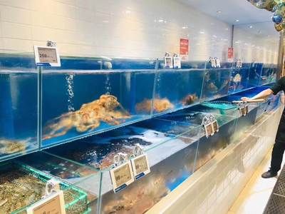 长沙水族批发市场：长沙水族批发市场在哪里