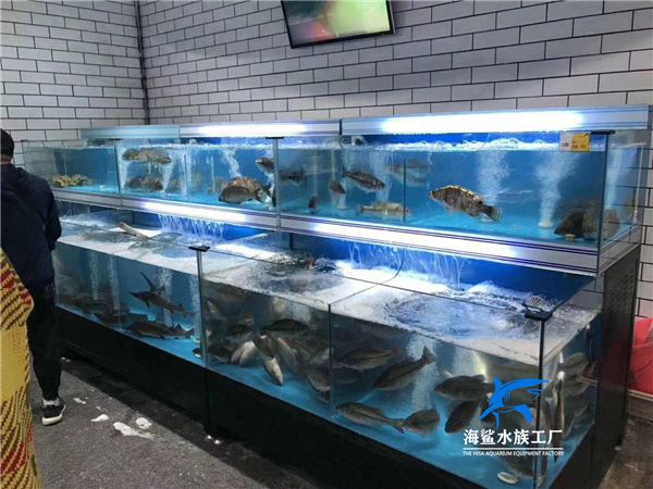 长沙水族批发市场：长沙水族批发市场在哪里