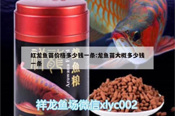 最便宜的红龙鱼苗价格多少：最便宜的红龙鱼苗价格 红龙鱼百科 第5张