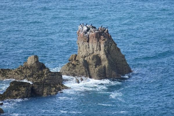 南充鱼缸批发市场：南充最大海鲜鱼缸批发市场在哪里 全国观赏鱼市场 第6张