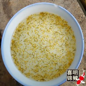 金龙鱼摆件风水作用：金龙鱼摆件在风水中具有招财进宝、辟邪保平安的正面作用 水族问答 第1张