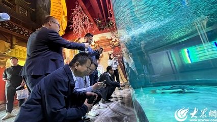 东营水族馆：东营区罗龙堂水族馆 全国观赏鱼市场 第3张