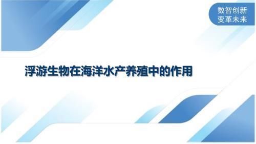 金龙鱼半年不吃食了有什么办法：金龙鱼为什么在半年内不吃食？ 水族问答 第2张